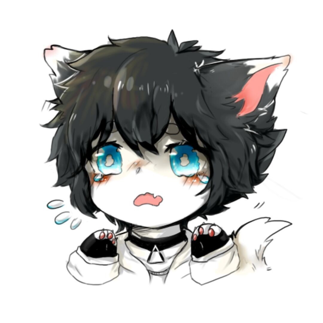 华羽 Profile Picture