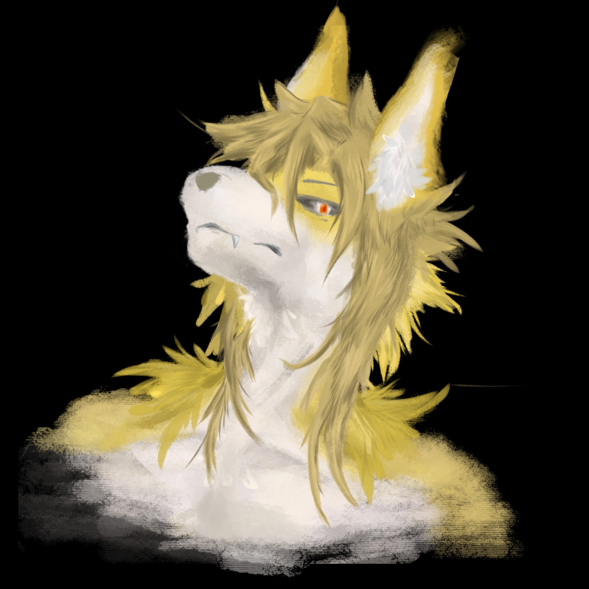 AЯйца Profile Picture