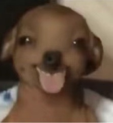 FFF Profile Picture