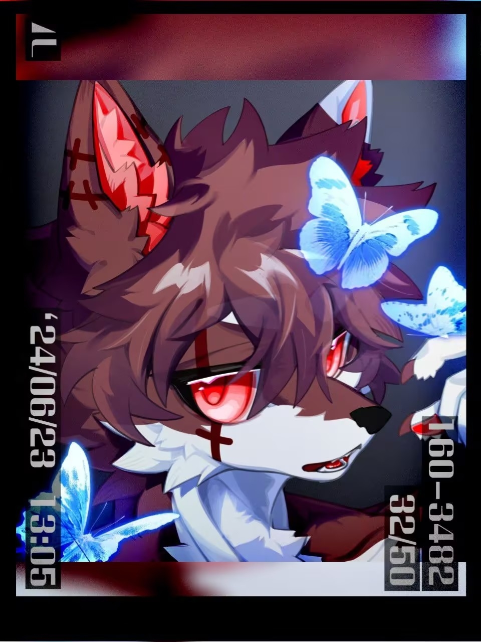 渡尘 Profile Picture