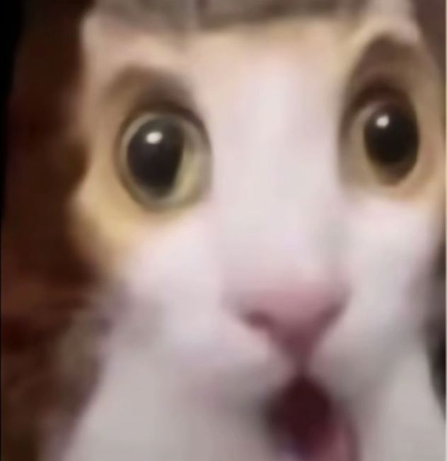 lkud Profile Picture