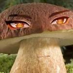 xezhy Profile Picture