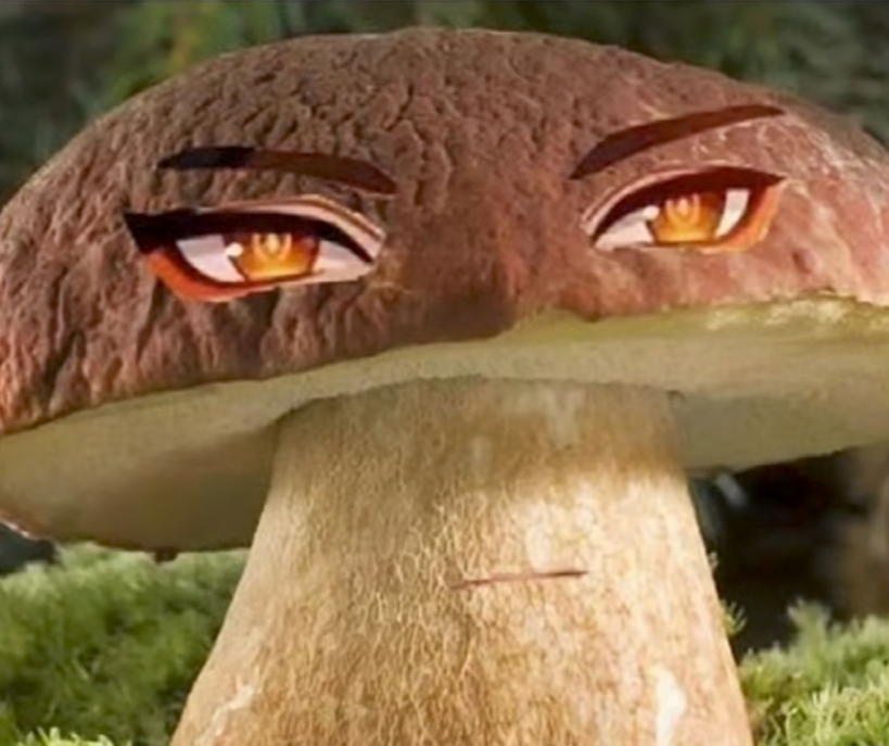 xezhy Profile Picture