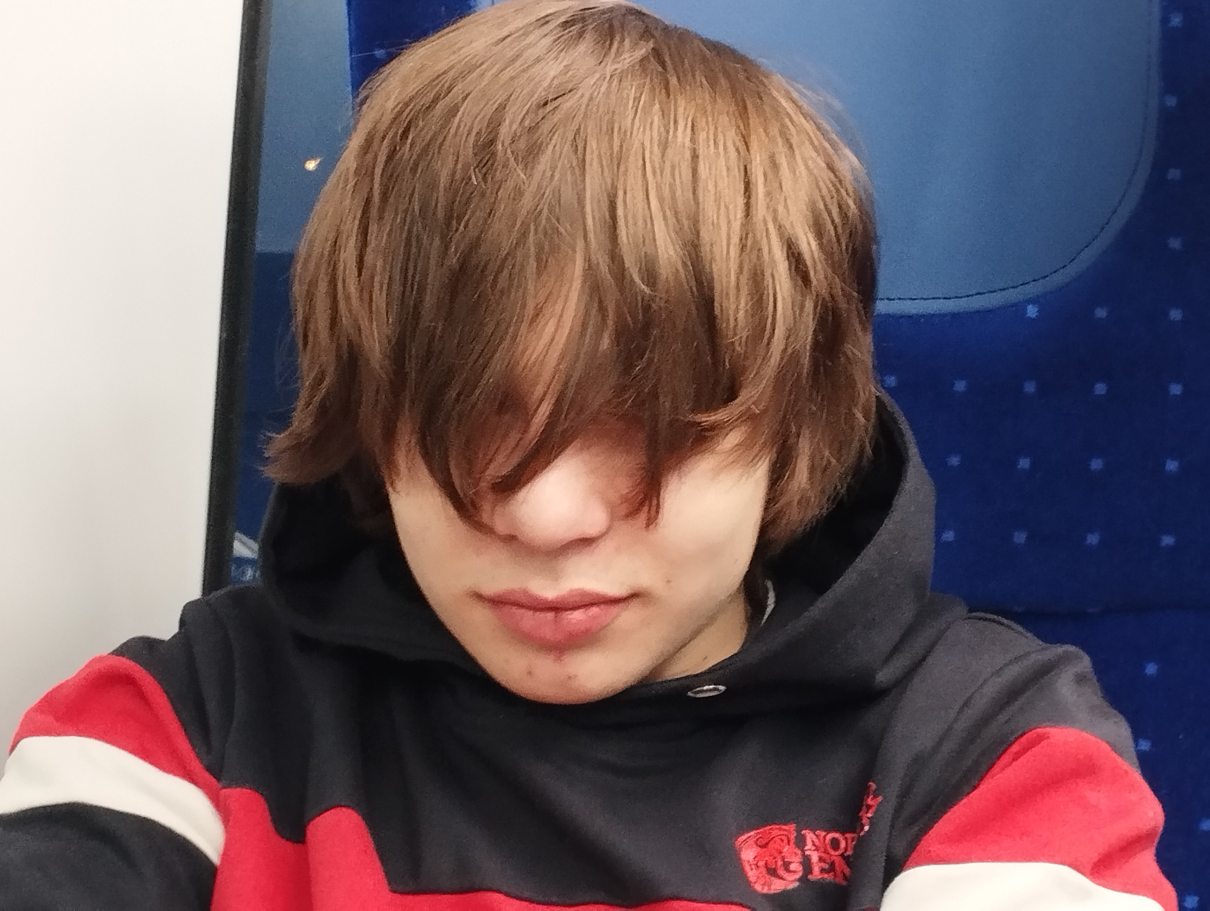 爬行 林肯公园 Profile Picture